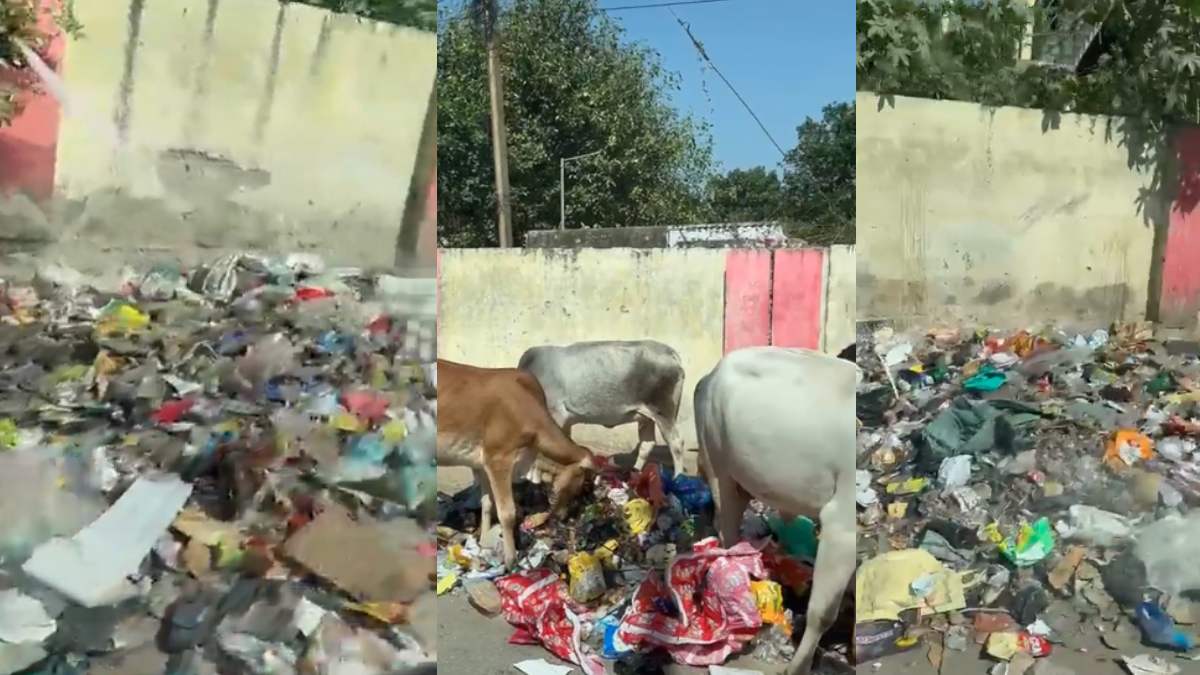 स्वच्छ भारत मिशन का बना मजाक, सड़कों पर कूड़े का भारी ढेर, अखिलेश यादव ने कसा तंज, कहा- ‘स्वच्छ भारत’ का अनुपम उदाहरण…