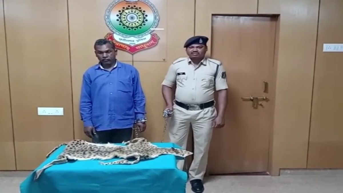 CG NEWS : तेंदुए की खाल बेचने तलाश रहा था ग्राहक, तस्कर को घेराबंदी कर पुलिस ने दबोचा