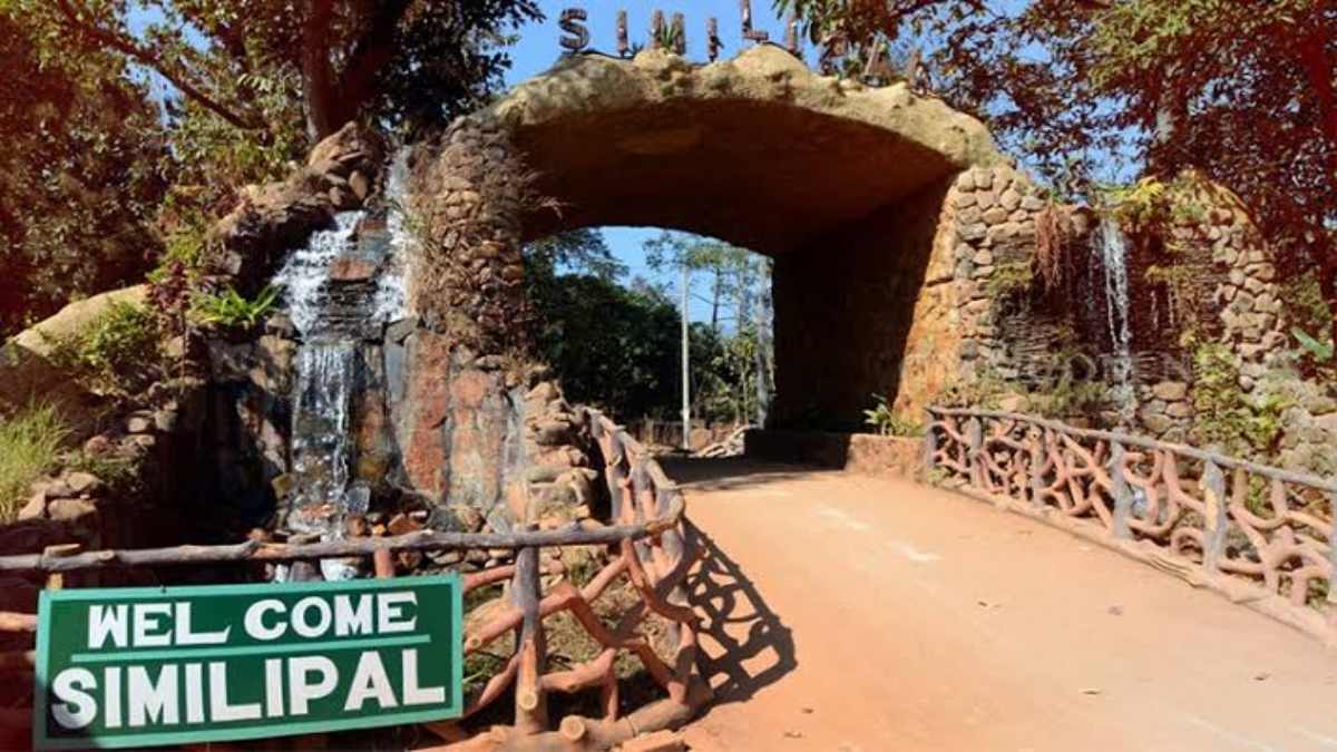 14 अक्टूबर से पर्यटकों के लिए फिर से खुलेगा सिमिलिपाल राष्ट्रीय उद्यान, जानिए क्या है व्यवस्था ?