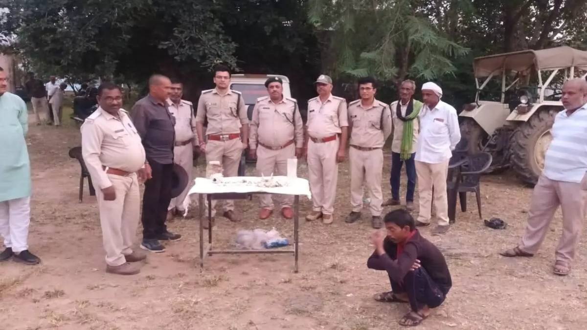 वन विभाग और पुलिस की छापामार कार्रवाई: वन्य भारी  मात्रा में वन्य प्राणियों के अवशेष और अवैध हथियार बरामद, कार्यवाही के बाद इलाके में मचा हड़कंप