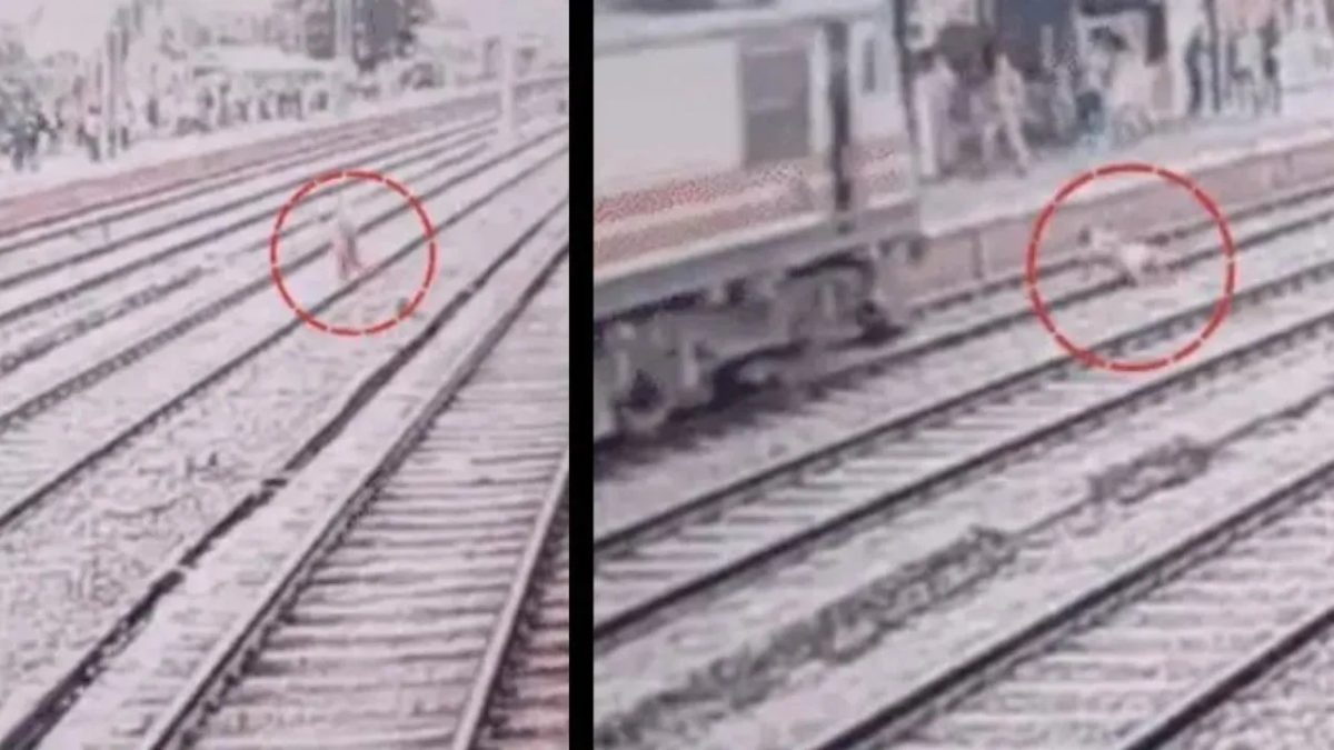 दिल दहला देने वाला Video : ट्रेन के आते ही पटरी पर लेट गई महिला, लोग लगाते रहे आवाज, शरीर के हुए दो टुकड़े