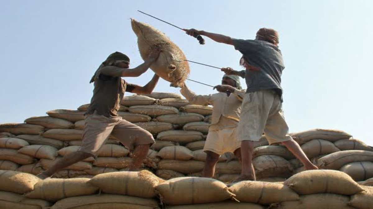 अहम फैसला : 7 देशों को गैर-बासमती चावल निर्यात करेगी सरकार
