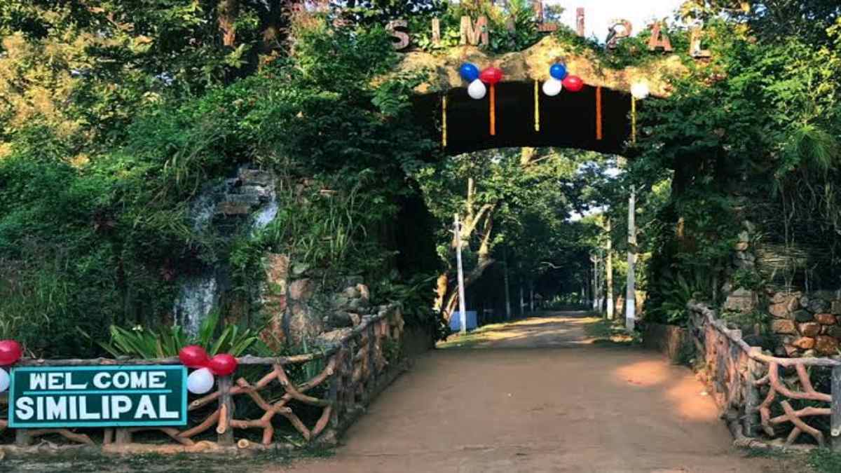 Similipal Tiger Reserve : पर्यटकों के लिए फिर से खुला शिमिलिपाल टाइगर रिजर्व