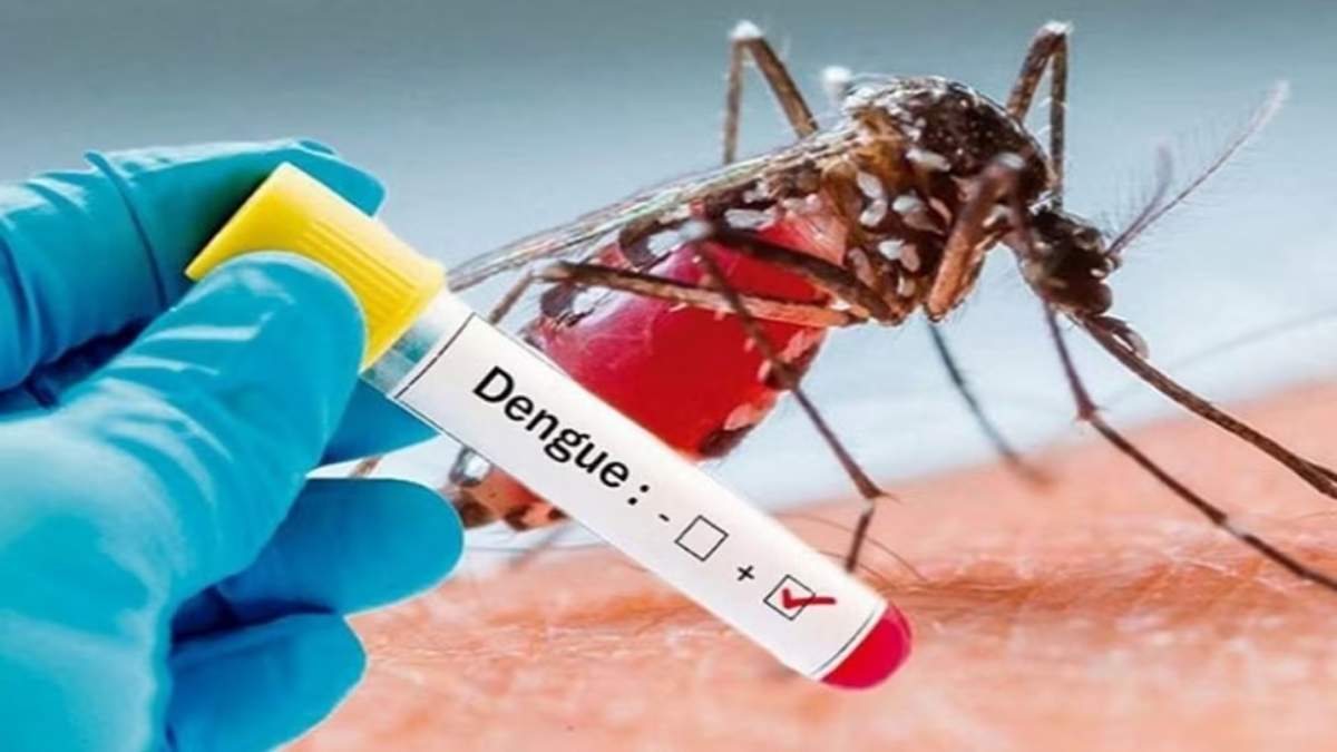 डेंगू का जानलेवा डंकः इस जिले में Dengue से पहली मौत, पांच और नए मरीज मिलने से मचा हड़कंप…