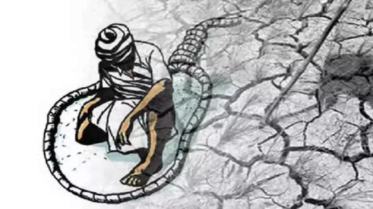 अन्नदाता परेशान : कहीं फसल बर्बाद, कहीं आर्थिक तंगी, कर्ज के बोझ तले दबकर तीन किसानों ने की आत्महत्या