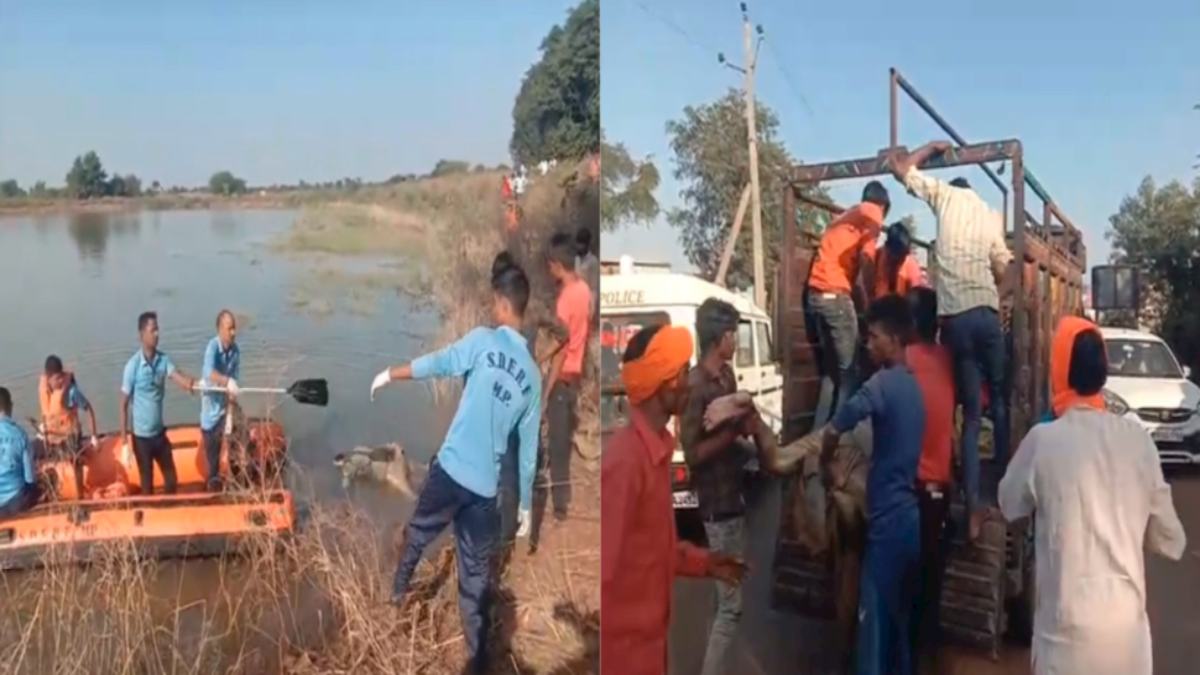 तालाब में अधेड़ की लाश मिलने से फैली सनसनी, पांच दिनों से था लापता, एसडीआरएफ की टीम ने बाहर निकाला शव