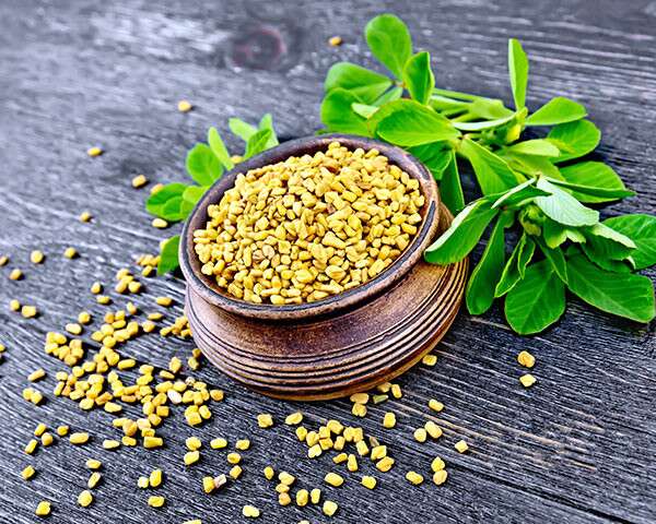 Fenugreek for Fat and Diabetes : पेट की चर्बी खत्म करने के साथ ही डाइबिटीज में भी राहत देती है मेथी, जानिए मेथी खाने के 5 तरीके…