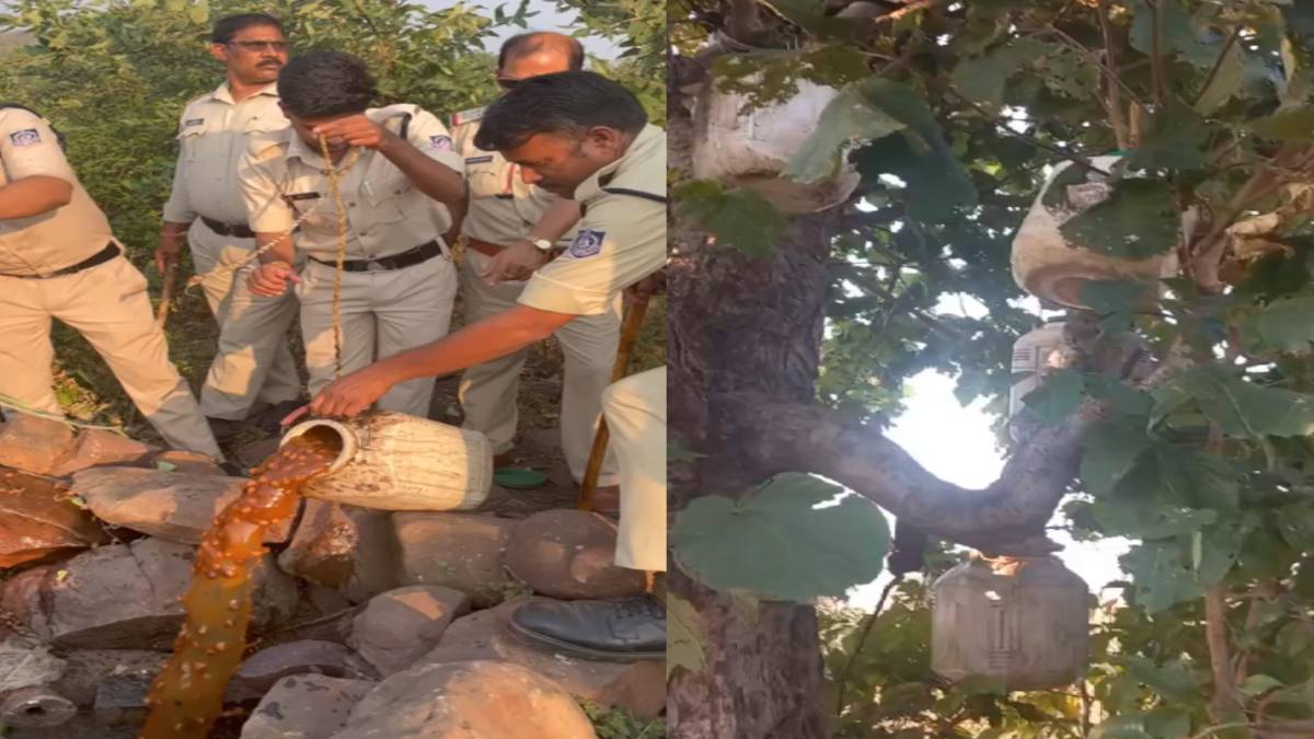 MP में पेड़ की डालियों में केन से बांधकर छिपाई जा रही थी शराब, छापेमारी के दौरान आबकारी टीम के उड़े होश, देखें ये Video  