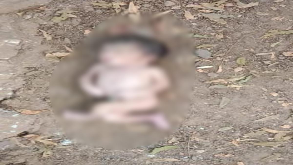 मां की ममता शर्मसार: झाड़ियों में मिला नवजात का शव, क्षेत्र में फैली सनसनी
