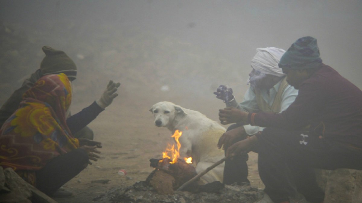 MP Weather Condition: तापमान में लगातार गिरावट, फिर भी नवंबर महीने में नहीं पड़ रही कड़ाके की ठंड