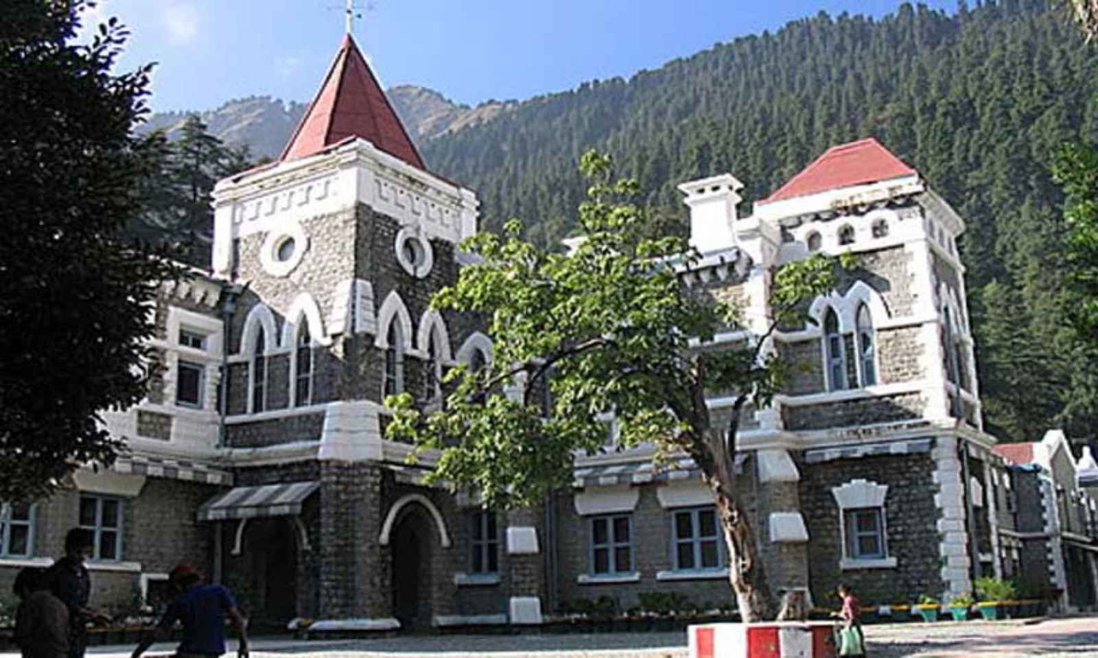 उत्तराखंड हाईकोर्ट लावारिस पशुओं के मामले में सख्त, नगर निगम हल्द्वानी से मांगा जवाब