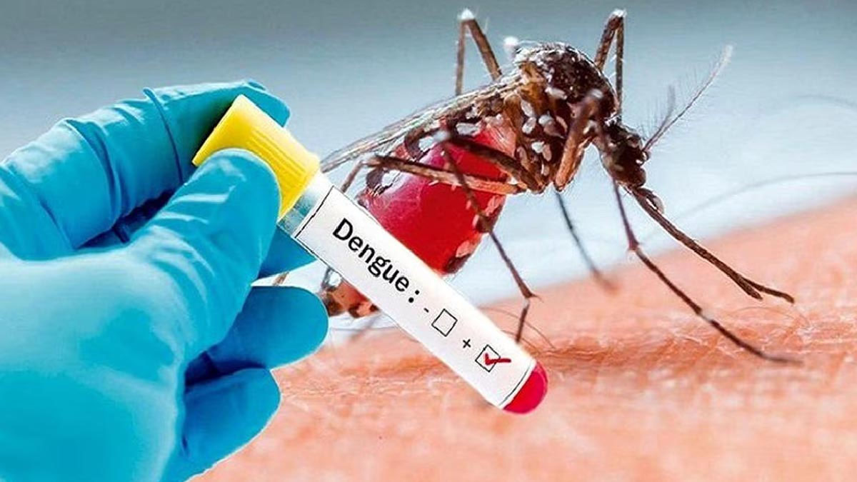 Dengue In Delhi: दिल्ली में डेंगू ने मामले बढ़कर 5500 हुए, पिछले 5 साल में सबसे ज्यादा मामले