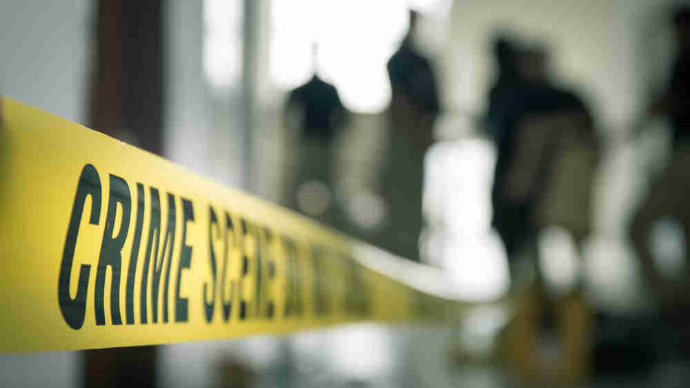 Noida News: झाड़ियों में पड़े महिला के शव को जानवरों ने नोचा
