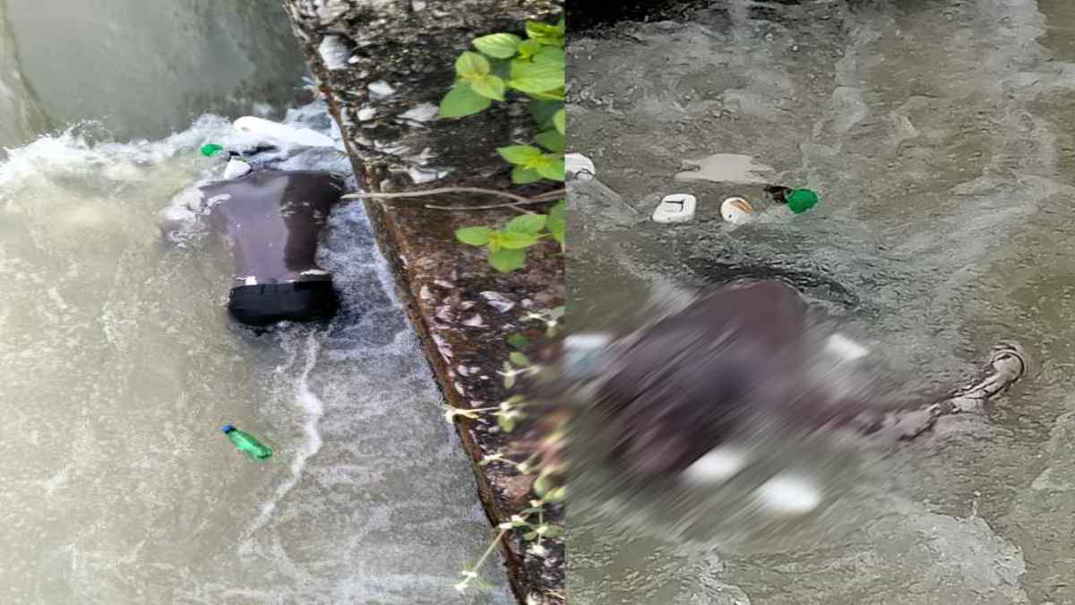 CG News : नहाने गया युवक नहर में बहा, 3 दिन बाद मिली लाश, परिजनों का रो-रोकर बुरा हाल