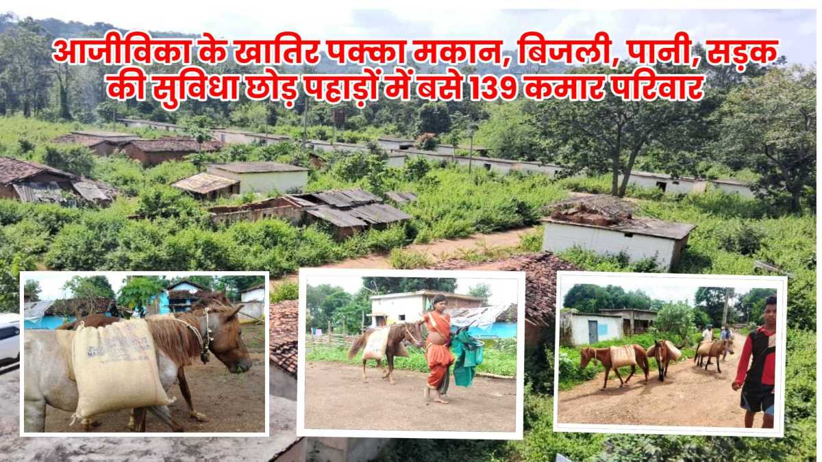 आजीविका के खातिर पक्का मकान, बिजली, पानी, सड़क की सुविधा छोड़ पहाड़ों में बसे 139 कमार परिवार, समर्थन मूल्य में नहीं बेच पाते फसल, फिर भी शत प्रतिशत करते हैं मतदान