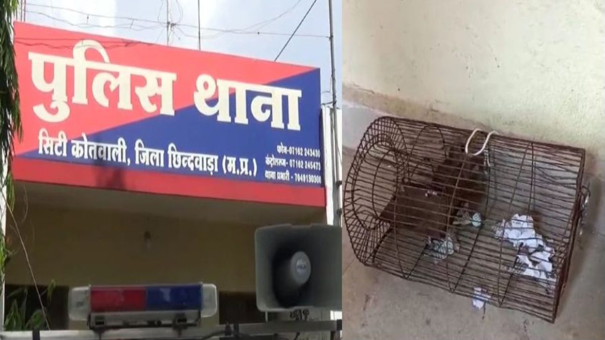 थाने में रखी 60 बोतल शराब चूहे पी गएः पुलिस के लिए चुनौती, एक चूहा गिरफ्तार बाकी फरार, जांच जारी