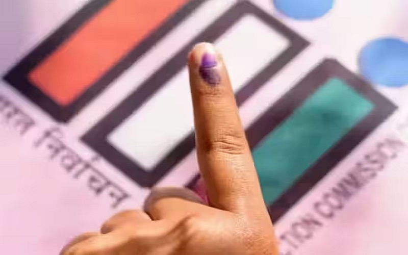 Rajasthan Election News: भरतपुर और डीग जिले के बुजुर्ग व दिव्यांग मतदाता होम वोटिंग कर हुए खुश