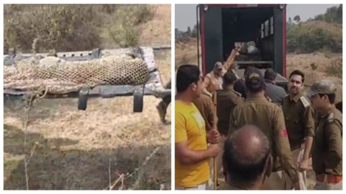 Leopard Rescue: शिकारियों ने जंगली सुअर के लिए लगाया फंदा, फंस गया तेंदुआ, वन विभाग की टीम ने किया रेस्क्यू  