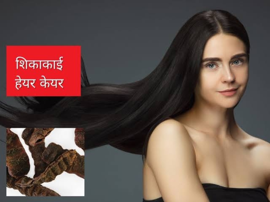 Hair Care With Shikakai:  बालों के लिए किसी चमत्कार से कम नहीं है शिकाकाई, यहां जाने शिकाकाई तेल और शैम्पू के फायदे