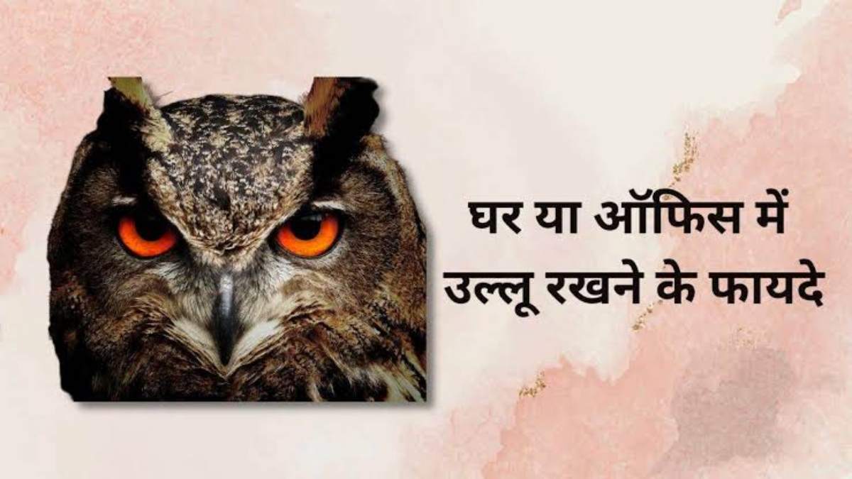Vastu tips: लक्ष्मी जी के वाहन उल्लू को वास्तुशास्त्र में माना गया है बहुत शुभ, यहां जाने घर और ऑफिस में उल्लू की मूर्ति रखने के लाभ