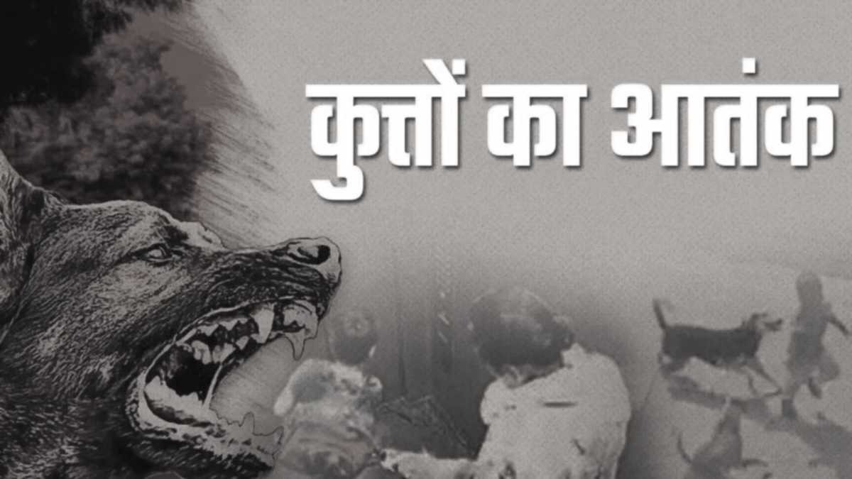 ग्वालियर में आवारा कुत्तों का आतंक: 23 दिनों में 494 मामले आए सामने; 5 साल में 2 करोड़ खर्च, फिर भी नहीं कम हो रही डॉग बाइट की घटनाएं