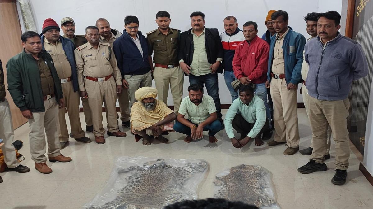 MP Crime News: तेंदुए की खाल के साथ तीन आरोपी गिरफ्तार, तंत्र-मंत्र के लिए करते थे इस्तेमाल