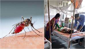 लखनऊ में लगातार बढ़ रहे डेंगू के मरीज, अब तक एक मौत समेत कुल 1700 केस