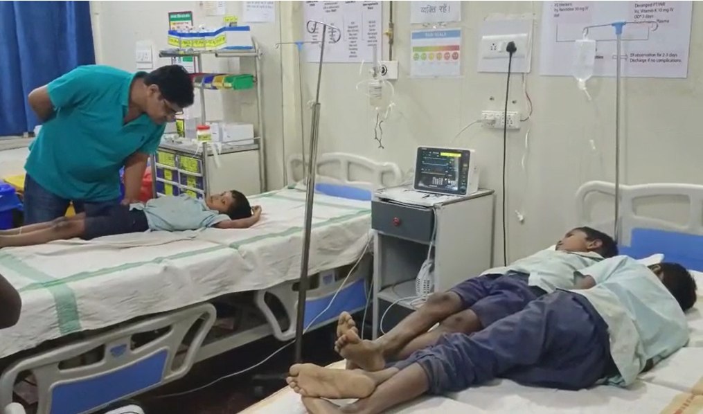 MP में रतनजोत के बीज खाने से 3 मासूम छात्र बीमारः सभी बच्चों की हालत खतरे से बाहर
