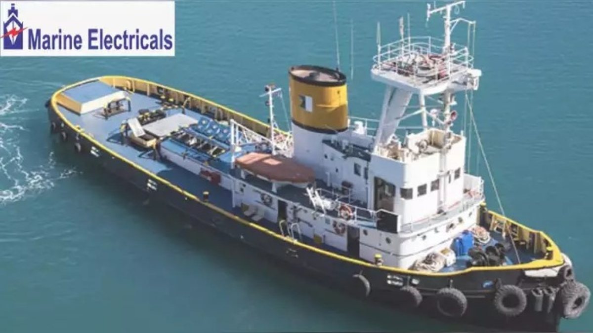 Marine Electricals Share Price : इस कंपनी के शेयर आपको बना देंगे करोड़पति, जानिए एक साल में कितनी हुई कमाई ?