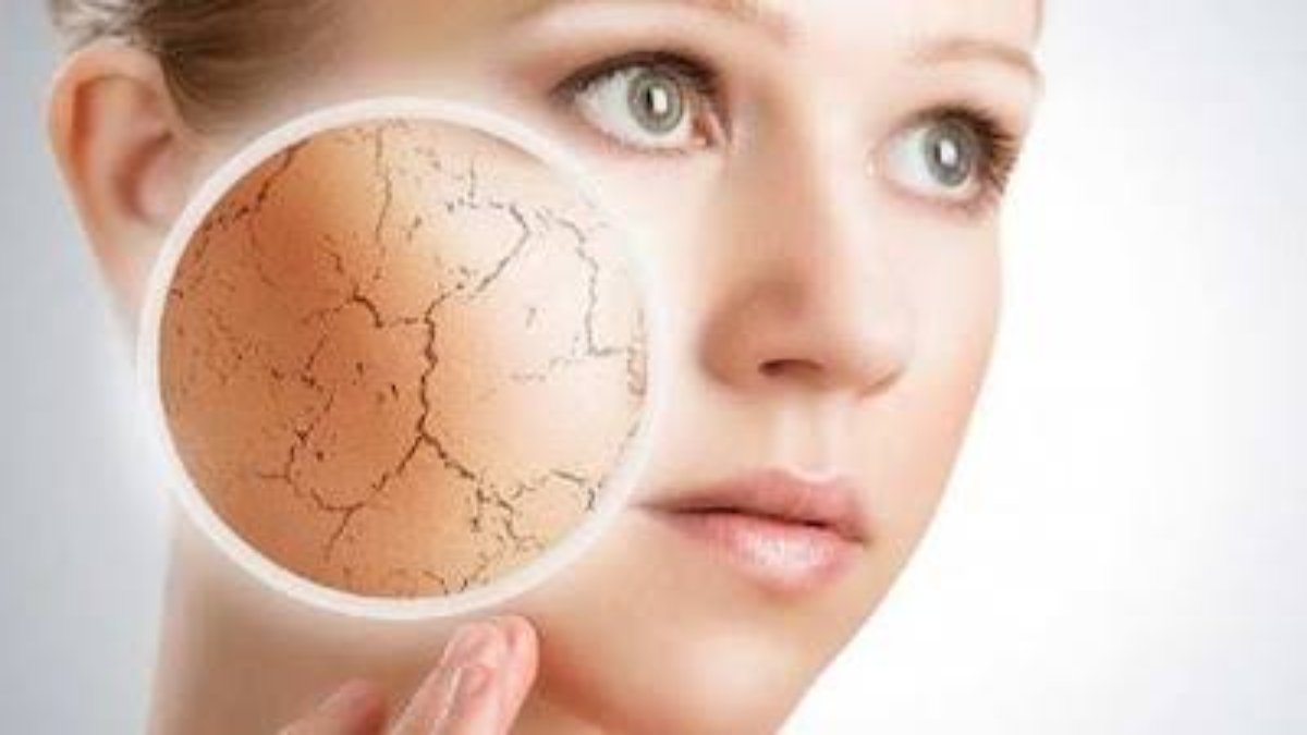 Winter Skin Care Tips : सर्दियों में स्किन लगती है खिंची-खिंची, तो ये तेल है रामबाण इलाज …