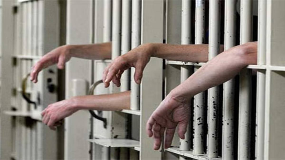 Panjab Crime: कपूरथला केंद्रीय जेल में कैदियों की हुई तलाशी,11 फोन, 990 नशीली गोलियां जब्त