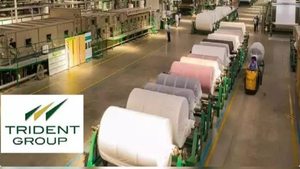 Trident Limited Share Price: इस कंपनी के शेयर ने निवेशकों को किया मालामाल, मिला बंपर रिटर्न, जानिए कितना है नेट प्रॉफ़िट ?