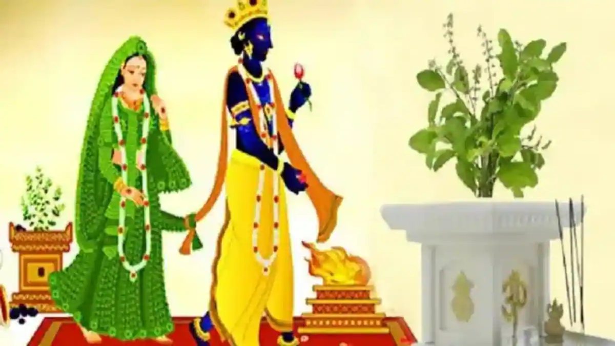 Tulsi Vivah 2023 : कब है तुलसी विवाह, जानें पूजा की विधि, शुभ मुहूर्त, महत्व और तिथि …