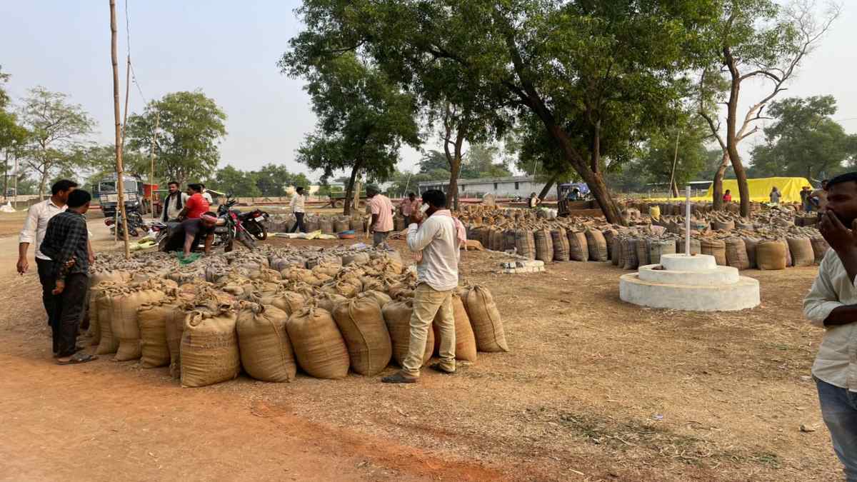 LALLURAM SPECIAL : आखिर गड़बड़ी कहां है ? धान खरीदी केंद्र में अन्नदाताओं से धोखा, तौल में हो रहा खेला, कर्मचारी बोल रहे यही फरमान है, विभाग कह रहा- 20 क्विंटल खरीदने का है आदेश