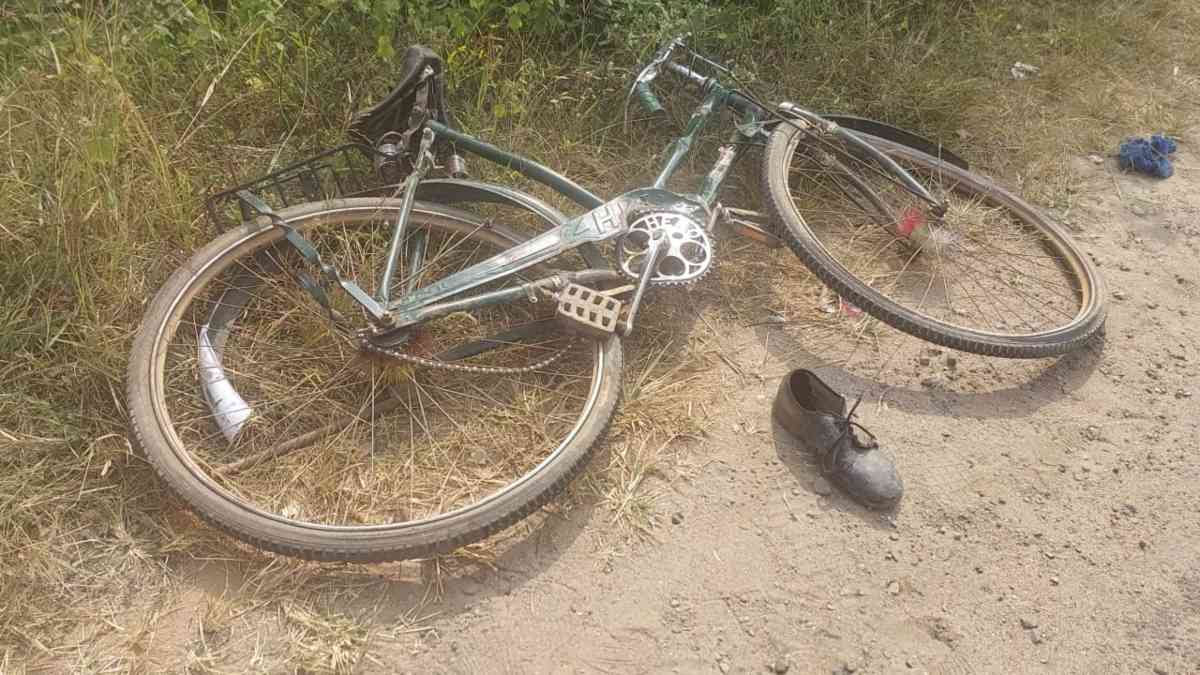 CG NEWS : साइकिल से स्कूल जा रहे छात्र को ट्रक ने रौंदा, पैर कटकर अलग, ड्राइवर गिरफ्तार