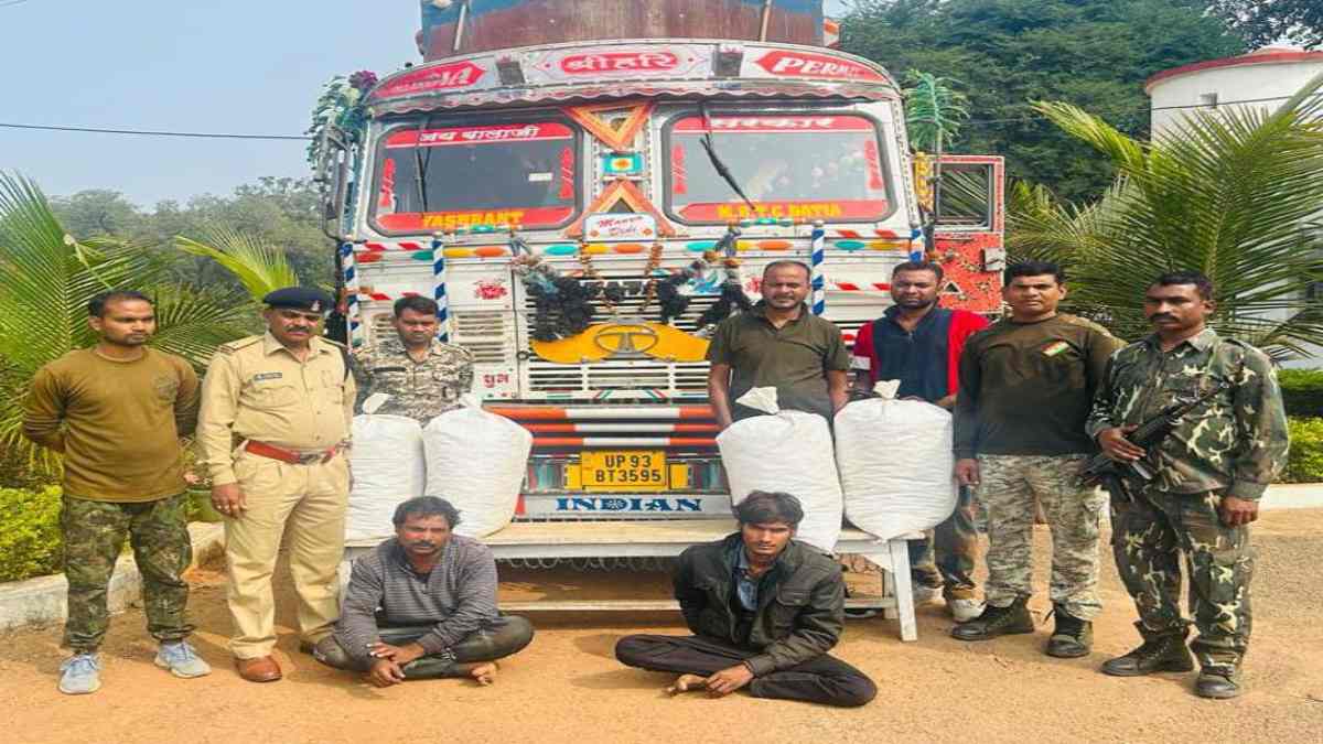 CG में लाखों का गांजा जब्त : ट्रक से कर रहे थे गांजा की तस्करी, एमपी के दो आरोपी गिरफ्तार