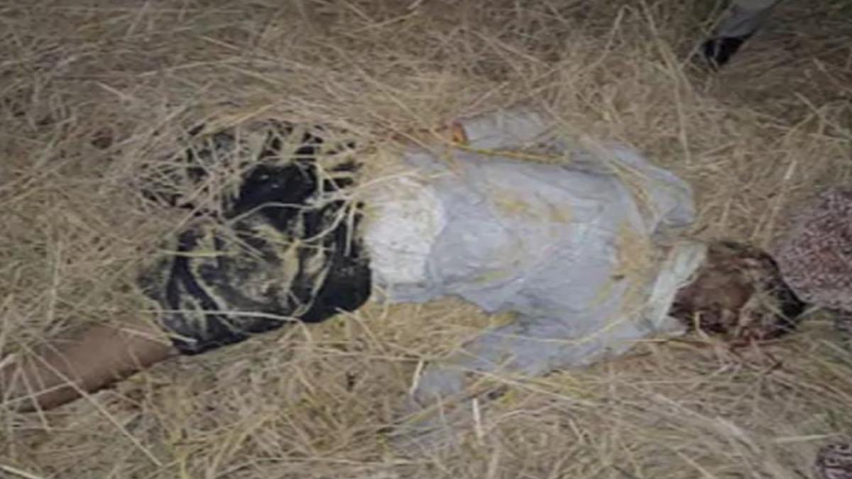 CG News : धान कटाई करने मंगवाया था हार्वेस्टर मशीन, दबकर किसान की मौत