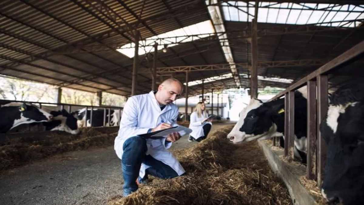 AP Animal Husbandry Recruitment 2023: आंध्र प्रदेश में पशुपालन सहायक के 1,800 से ज्यादा पदों पर निकली भर्ती, जानिए कैसे करें आवेदन और अन्य जरुरी डिटेल्स