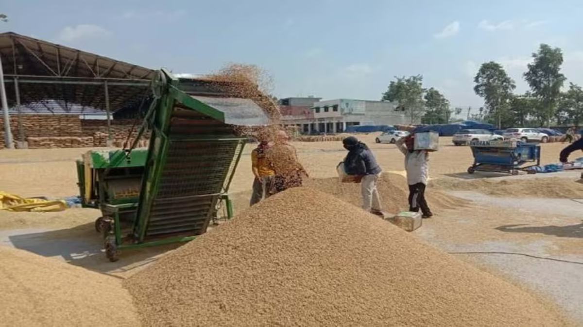 अन्नदाताओं को कर्ज माफी और बोनस का इंतजार : धान खरीदी केंद्रों में नहीं दिख रही किसानों की भीड़, 27 दिनों में अब तक महज 12 लाख मीट्रिक टन हुई खरीदी