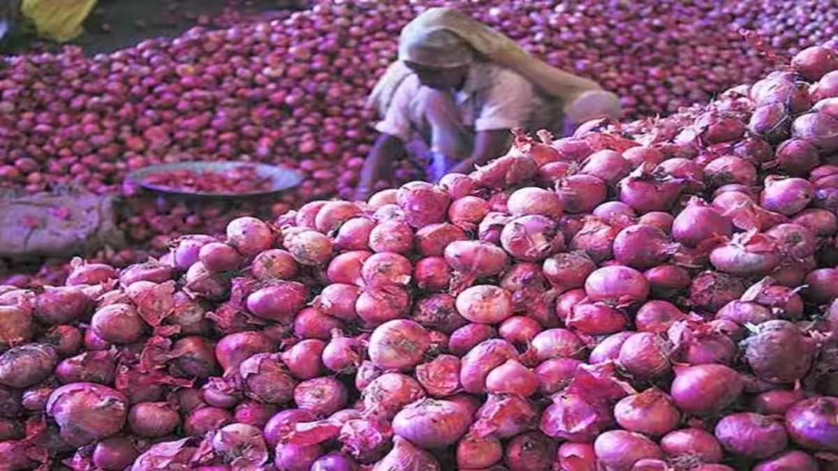 इस जगह में मिल रहा है 25 रुपए किलो प्याज, गाड़ियों के पास लगी है काफी भीड़ …