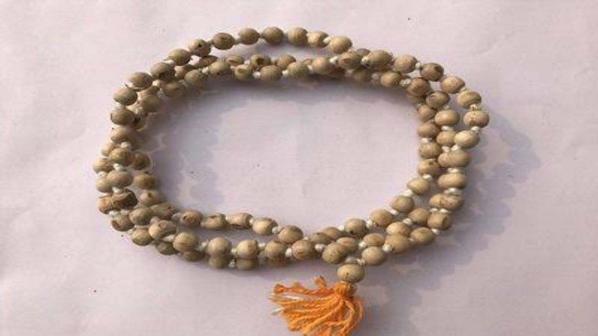 तुलसी की माला धारण करने के ये हैं नियम, यह होते हैं उसके विशेष फायदे …