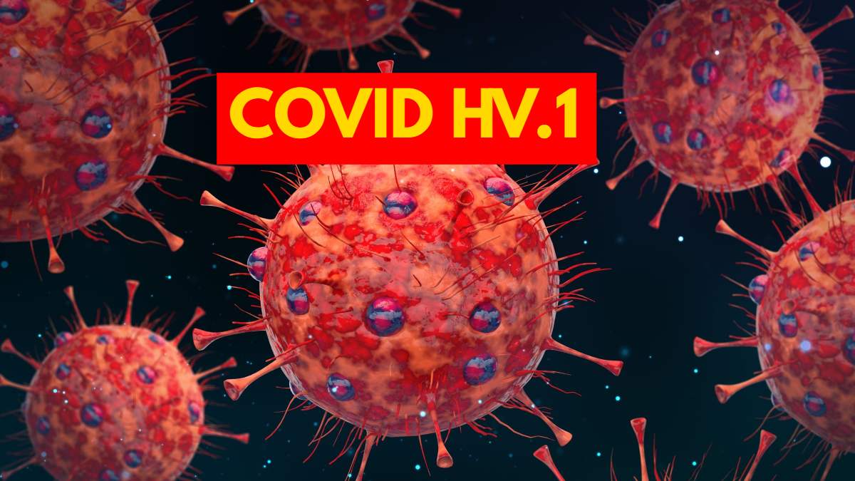 COVID HV.1 : त्यौहारों से पहले फिर बढ़ने वाली है लोगों की टेंशन, आ गया कोरोना का नया वेरिएंट कोविड HV.1, जानिए क्या है लक्षण …