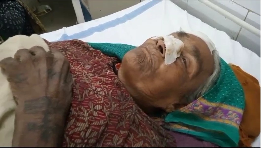 MP के इस जिले में आवारा कुत्तों का आतंकः घर के बाहर बैठी बुजुर्ग महिला पर किया हमला, प्राथमिक उपचार के बाद जिला अस्पताल रेफर