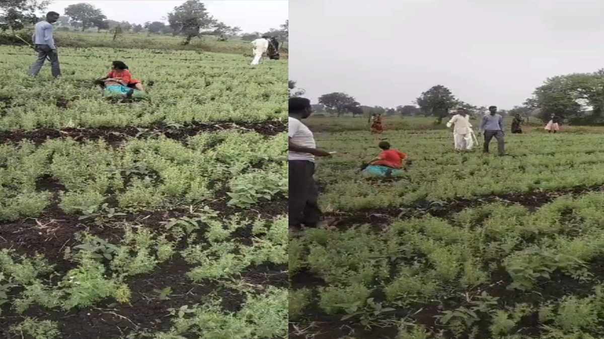 जमीनी विवाद में मारपीट: हत्या की गवाही देने को लेकर बवाल, महिला की पिटाई का VIDEO वायरल