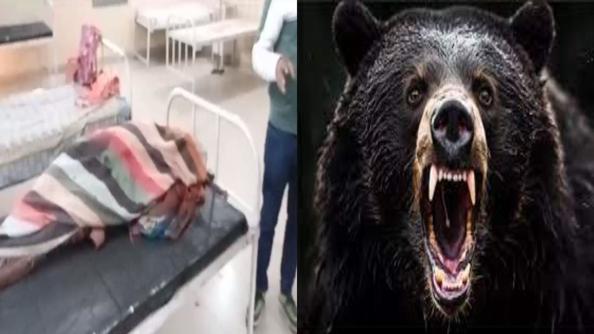 भालू के हमले से महिला की मौत, सरपंच समेत 5 लोग गंभीर घायल, जंगल लकड़ी लेने गई थी मृतिका