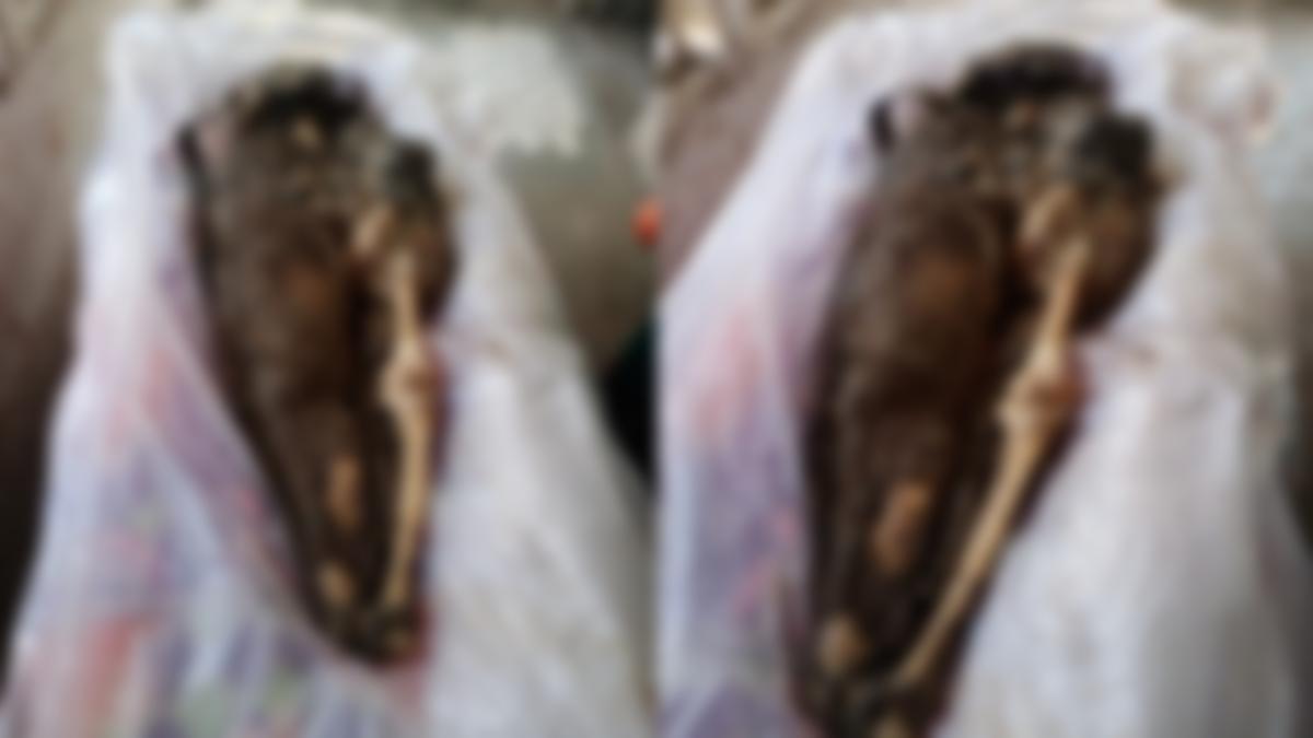 नाले के किनारे मिला लापता युवक का कंकाल: हत्या की आशंका, पीएम रिपोर्ट से खुलेगा मौत का राज