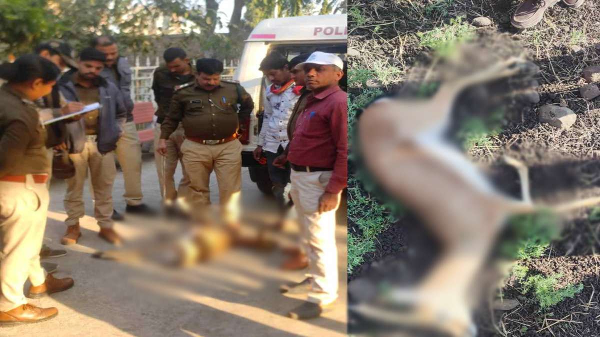 MP Crime: हिरण शिकारियों को पुलिस ने किया गिरफ्तार, बंदूक जब्त