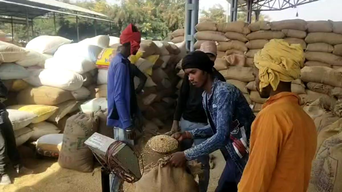 खरीदी केंद्र में किसानों से वसूली: धान तुलाई के नाम पर लिया जा रहा पैसा, कलेक्टर ने दिए जांच के निर्देश