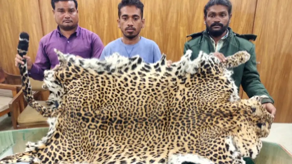 Leopard की खाल के साथ 3 गिरफ्तार