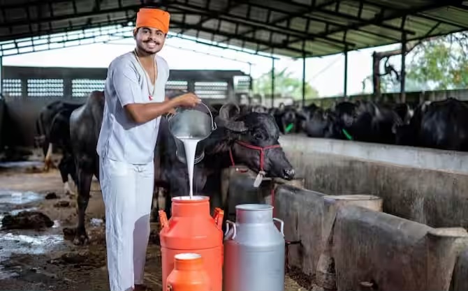 दुग्ध संघों के लिए 10 करोड़ रूपये की धनराशि स्वीकृत